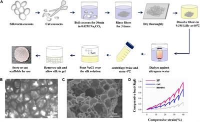 Microglia Play an Essential Role in Synapse Development and Neuron Maturation in Tissue-Engineered Neural Tissues